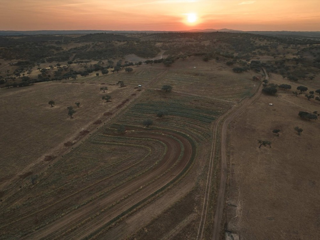 Pôr do sol sobre a planície alentejana